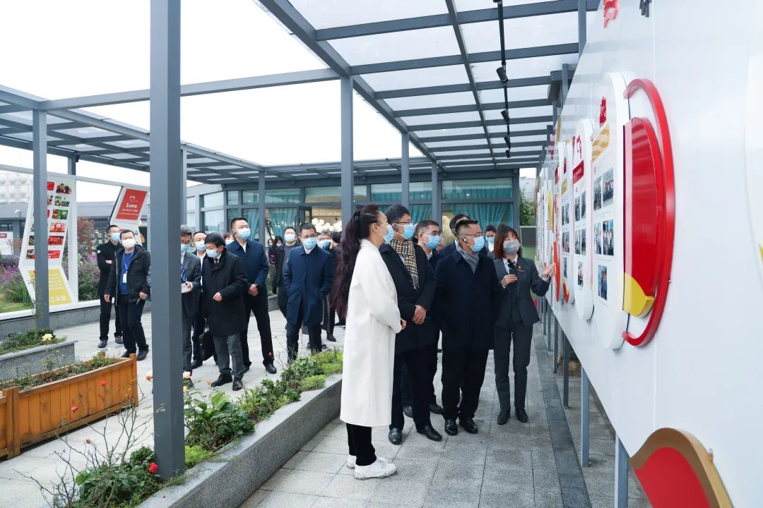 1651304311885112.jpg rst-08.jpg